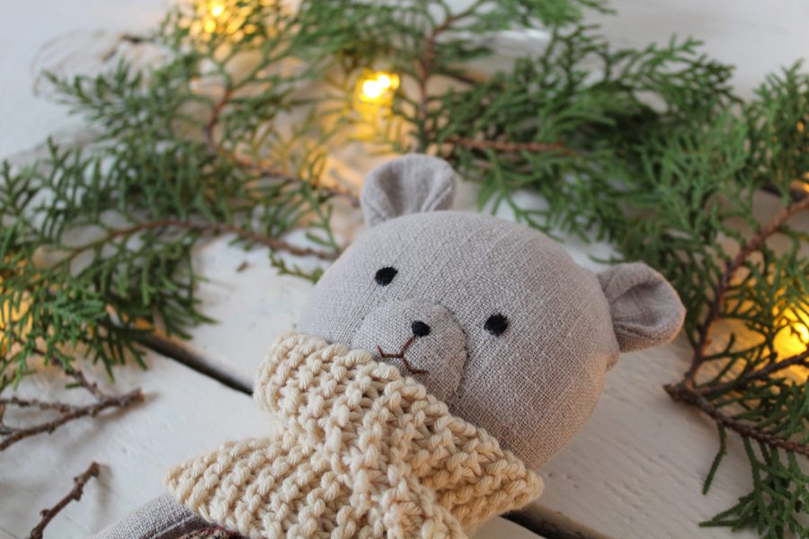 IMG 4839 scaled 1 | Pepita Calabaza | Hibernación